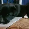 Greg field - @greg.field - TikTok