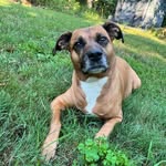 Greg Fields - @greg.fields.731 - Instagram