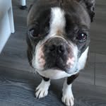 Greg Fielding - @luikero69 - Instagram