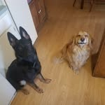 greg fielding - @greg_fielding - Instagram