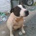 Greg Finn - Facebook