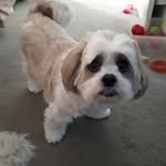 Greg Finn - @gregfinn63 - Instagram