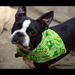 Greg Finnerty - @finnertygreg - Instagram