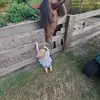 Greg Floyd - @gregfloyd51 - TikTok