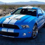 Greg Forrester - @fuzzy_g74 - Instagram