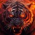 Greg Forrester - Facebook