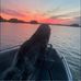 Greger Forsell - Facebook