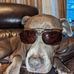 Greg Fox - Facebook