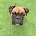 Gregory Fox - Facebook