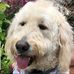 Greg Franco - Facebook