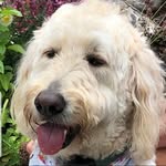 Greg Franco - @martintracy12345 - Instagram