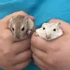 Fred and Greg - @fredandgreg14 - TikTok