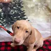 gregfredrickson66 - @gregfredrickson66 - TikTok
