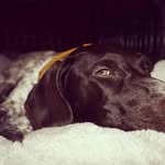 Greg Fuchs - @gregf13 - Instagram