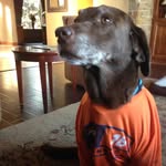 Greg Fuchs - @fuchs5043 - Instagram