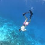 Greg Fuchs - @greg__renard - Instagram