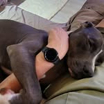 Greg Gaddy - @gregory44p - Instagram