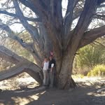 Greg Galpin - @greg_galpin - Instagram