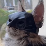 Greg Galpin - @nuttybob7 - Instagram