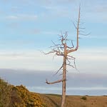 Greg Garman - @seeking_par - Instagram