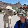 greggauthier13008 - @greggauthier13008 - TikTok