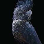 Greg Gavin - @botel400 - Instagram
