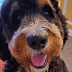 Greg Gebhardt - @gebhardtgreg - Instagram
