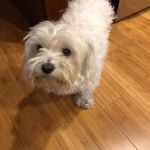 Greg Geier - @greg_geier - Instagram