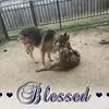 Greg Geiger - @greg.geiger - TikTok