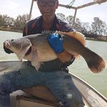 Greg Geyer - @greg.geyer.73 - Instagram