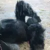 greggeyer8 - @greggeyer8 - TikTok