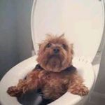 Greg Gibbons - @gibbons_greg1 - Instagram