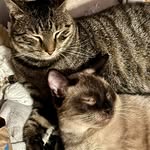 Greg Gilbert - @greg.gilbert.77 - Instagram