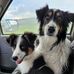 Greg Gilbert - Facebook