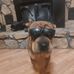 Gregg Gilbert - Facebook
