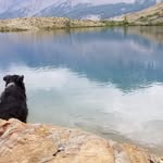 Greg Gilmore - @greg.gilmore.31 - Instagram