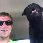 Greg Gilmore - @farmer_gilmore - Instagram