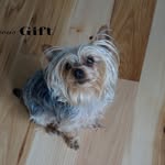 Greg Gilson - @gregkgilson - Instagram