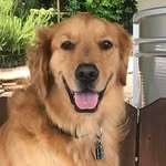 Gregory W Glaze - @greg.glaze1 - Instagram