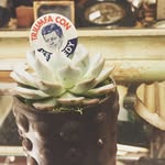 Greg Goldberg the Succulent - @succmygoldberg - Instagram