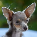 Gregg Oldberg - @greggoldberg1281 - Instagram