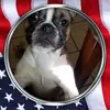gregggonser - @gregggonser - TikTok