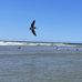 Greg Gooch - Facebook