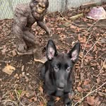 Greg Gooch - @goochem13 - Instagram