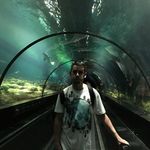 Greg Graves - @greg.graves.397 - Instagram
