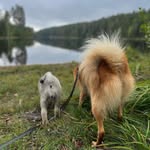 Greg Grimm - @lmfjamai - Instagram