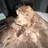 Greg? - @greg.groves59 - TikTok