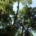 Greg Gulledge - Facebook
