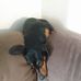 Greg Hahn - Facebook