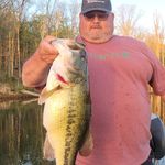 Greg Hamby - @bass_savant - Instagram